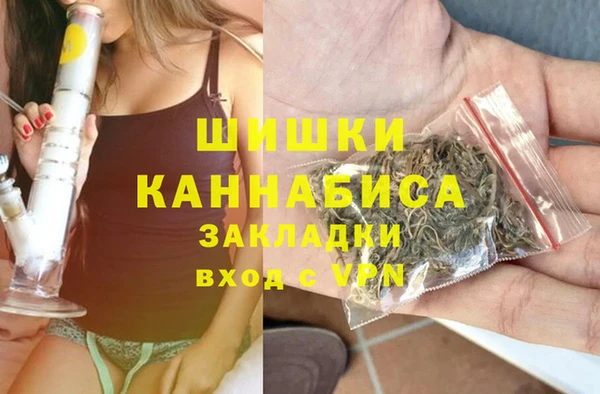 винт Алзамай
