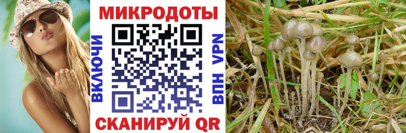 Галлюциногенные грибы Magic Shrooms  хочу   Биробиджан 